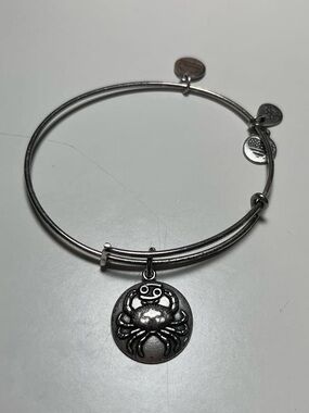 Alex and Ani Adjustable Silver-Tone Cancer Charm Bangle Bracelet - Women Jewelry